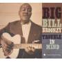 Big Bill Broonzy - Trouble In Mind