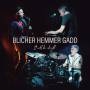 Michael Blicher & Dan Hemmer & Steve Gadd - It will be Alright