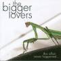 Bigger Lovers - This Affair Never Happene