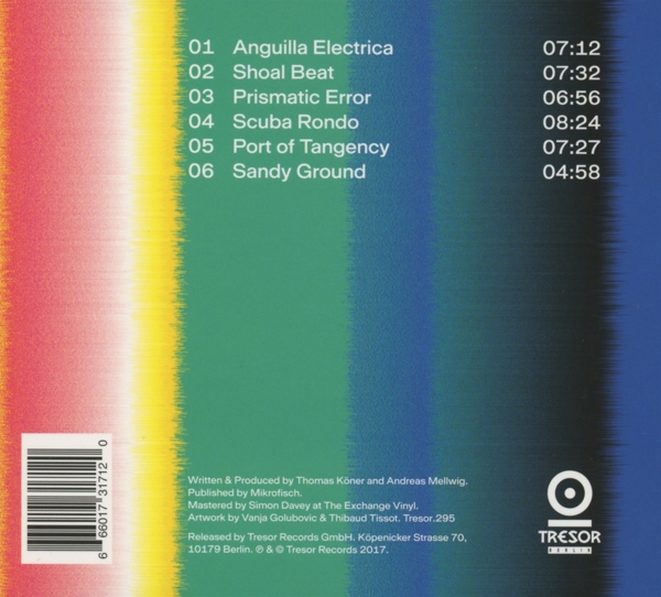 Anguilla Electrica 2