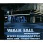 Jesper Lundgaard Trio - Walk Tall,the Adderley project