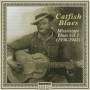 V / A - Mississippi Blues Vol.3 Catfi