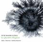 Roed / Navarro-Alonso / Hildebrandt / Reumert / Ekkozone - Le Quattro Stagioni