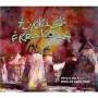 Various - Turkish Freakout (Psych-Folk 1969-80)