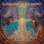 Liquid Bloom - Face Of Love: A Guided Spirit Journey