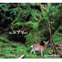 Daishi Dance - Ghibli Set
