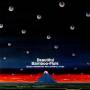 Hozan + Sharps Yamamoto & Flats - Beautiful Bamboo-Flute