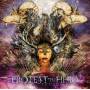 Protest The Hero - Fortress