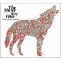 Piers Faccini - Many Are One