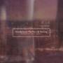 Trio Kavkasia - Fox & The Lion