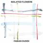 Fabian Dudek - Isolated Flowers