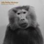Nils Molvaer Petter - Baboon Moon