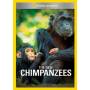 New Chimpanzees / (mod Ntsc) - New Chimpanzees [Regio free (0)]