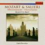 J. C. Rybin / Quartetto Amati - DIVERTIMENTI & OUVERTURES