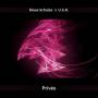 Klaus' U.S.O. Schulze - Privee