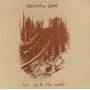 Herman Dune - They Go To The Woods