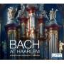 Jonathan Dimmock - Bach at Haarlem
