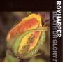 Roy Harper - Death Or Glory?