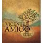 Vicente Amigo - Tierra
