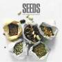 Sahib Shihab - Seeds