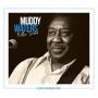 Muddy Waters - Rollin' Stone