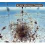Alan Stivell - Amzer