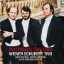 Wiener Schubert Trio - Klaviertrio F-Dur op. 8