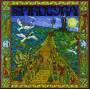 Spirogyra - 5