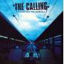 Calling - Camino Palmero