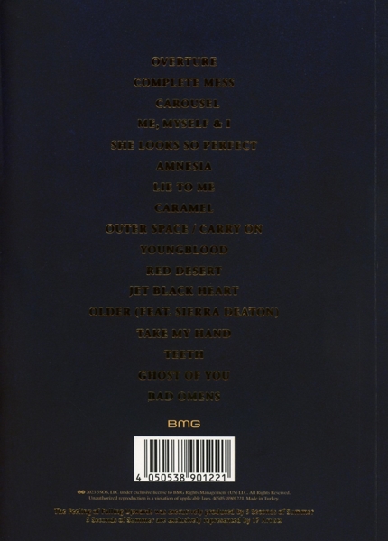 The Feeling Of Falling Upwards (Deluxe) 1