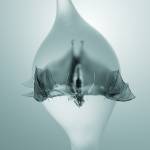Unprocessed - Angel