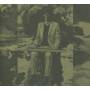 Shintaro Sakamoto - Let's Dance Raw
