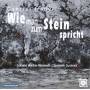 V / C - Wie man zum Stein spricht