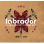 Labrador - Caleidoscope Aeroplane