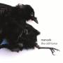 Manuok - Old Horse