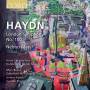 M. Bevan / Wyn-Rogers / Christophers / Handel And Haydn - Sinfonie 100/Nelson-Messe