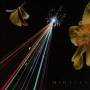 Miracle - The Strife Of Love In A Dream