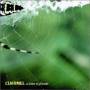 Clairmel - Letter To Friends