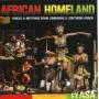 Iyasa - African Homeland: Voices & Rhythms From Zimbabwe &