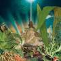 Lagoss - Imaginary Island Music Vol.2: Ascension