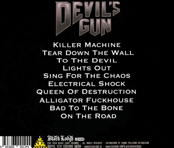 Sing For The Chaos 1