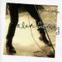 Alain Bashung - Confessions Publiques