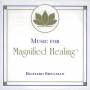 Richard Shulman - Music For Magnified Healing