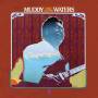 Muddy Waters - Unk In Funk