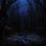 Woods Of Desolation - Torn Beyond Reason (digipak) (reissue)