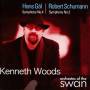 Kenneth Woods / Orchestra Of The Swan - Sinfonie 4 & Sinfonie 2