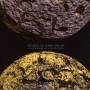 Between The Buried And Me - Future Sequence: Live At The Fidelitorium (cd+dvd)