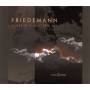Friedemann - Echoes Of A Shattered Sky