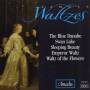 Famous Waltzes / Various - Famous Waltzes / Various