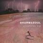 Dharmasoul - Lightning Kid